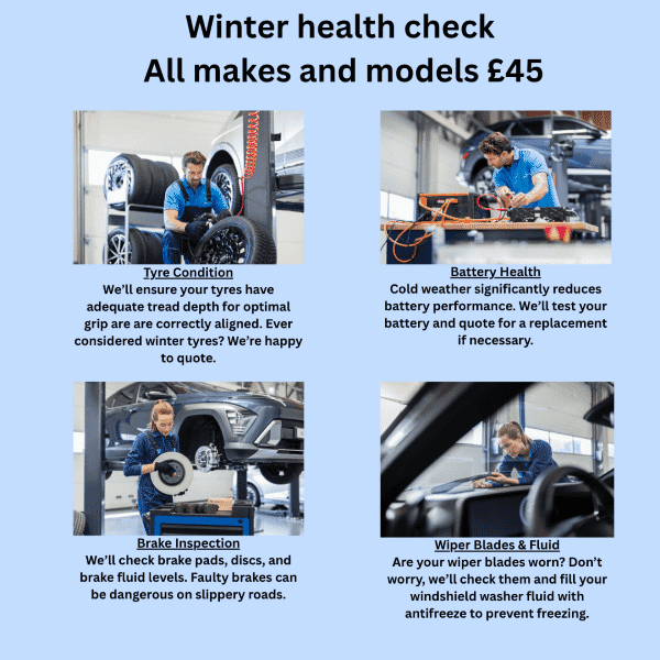 Winter health check