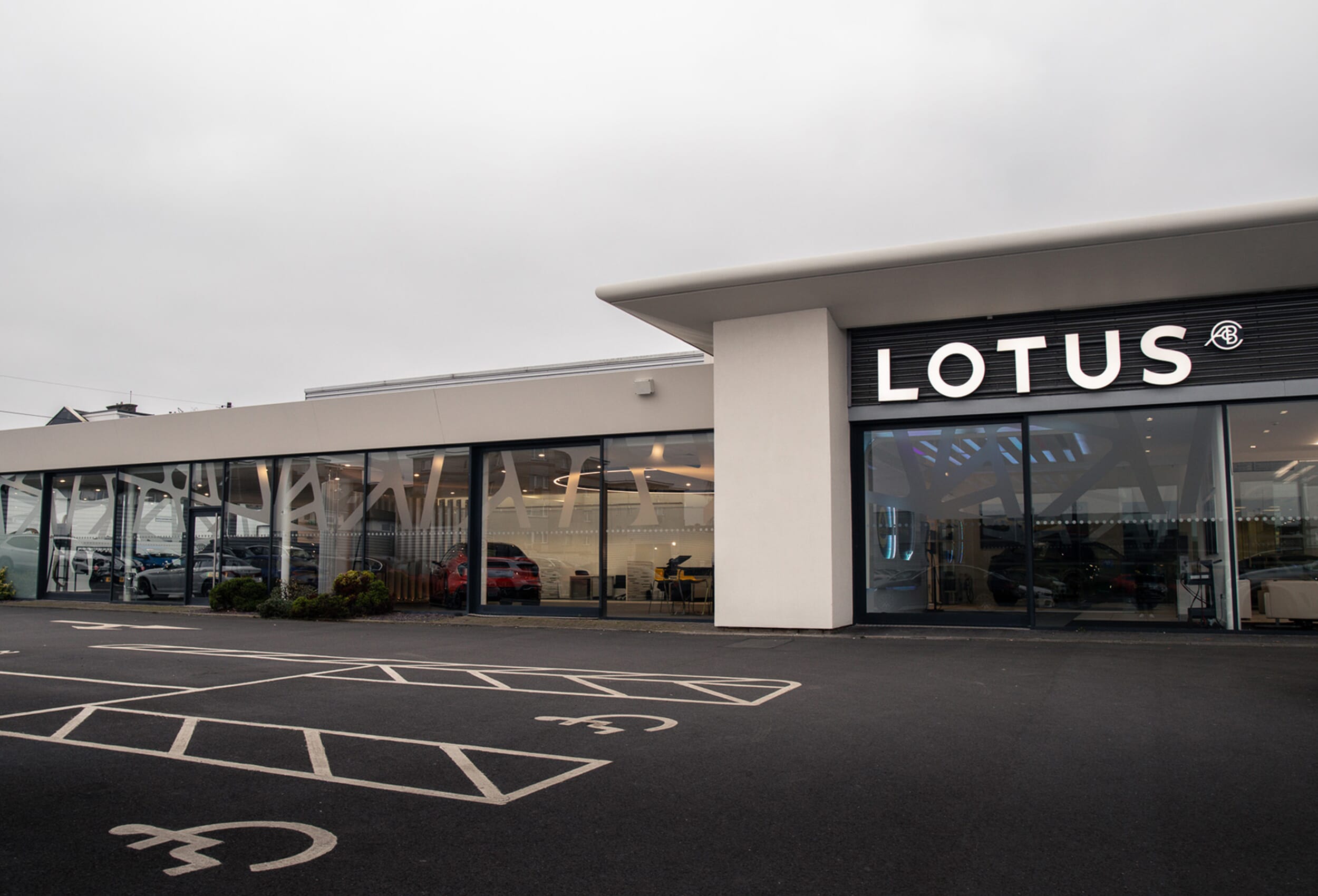 Lotus Bradford - New