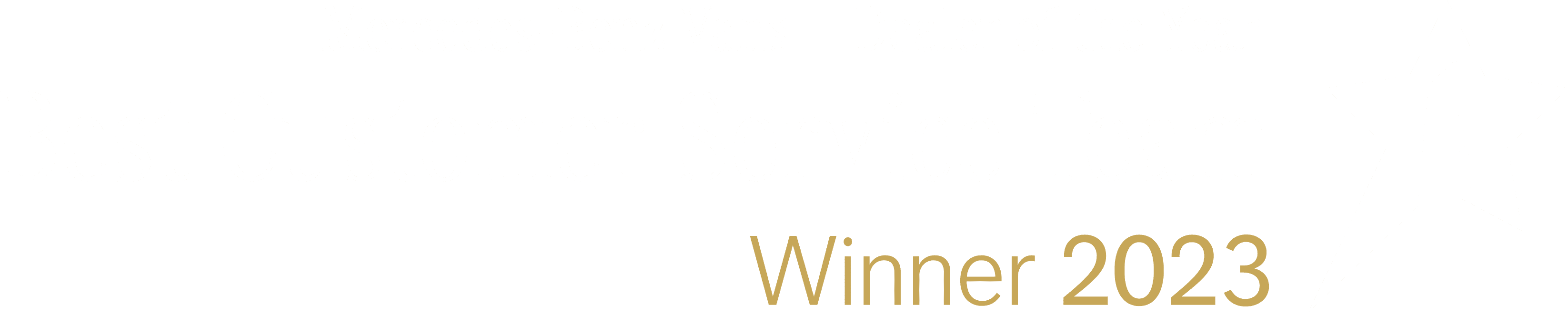 Customer Service Award 2023