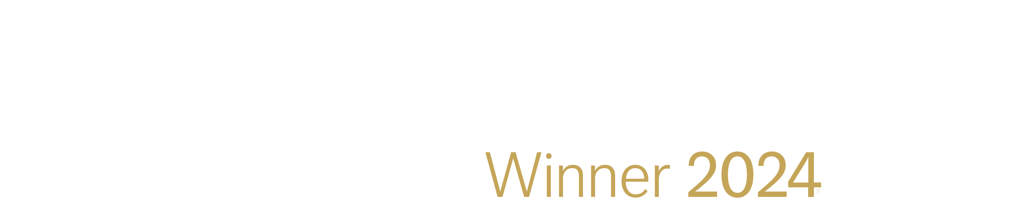 Customer Service Award 2024