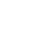 CUPRA Born PCP
