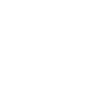SEAT Ibiza PCP