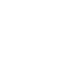 Volkswagen ID. Buzz PCP