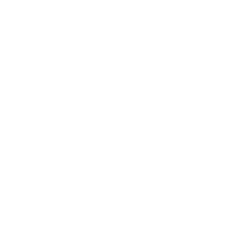 Sinclair Group Page Logo