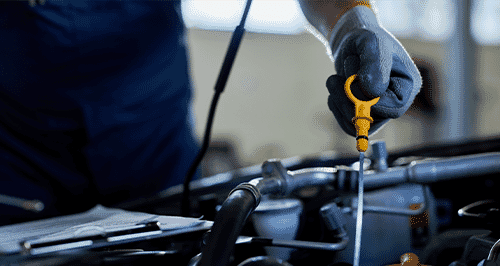 mg Service